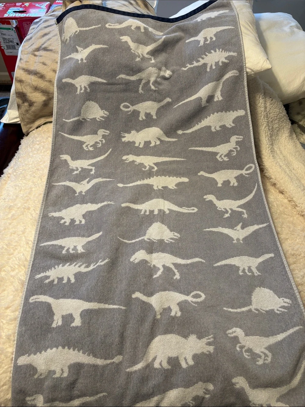 Pottery Barn Kids Finn Dino Bath Towel 25x50